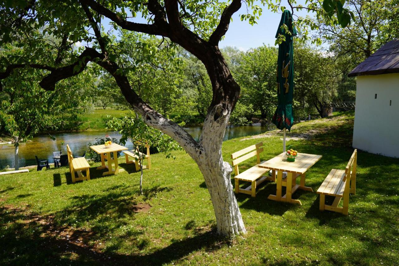 Apartments Manitovac M Niksic Luaran gambar