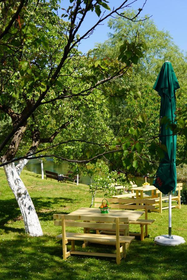 Apartments Manitovac M Niksic Luaran gambar
